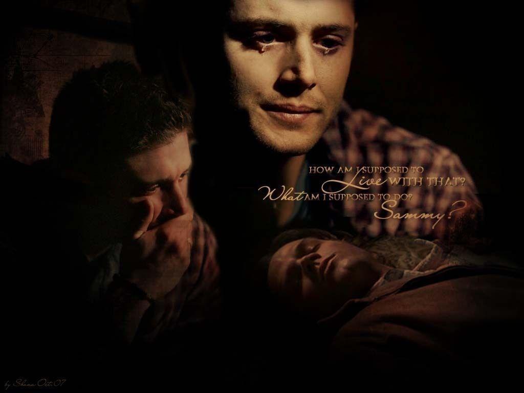 winchesters padalecki and jensen ackles Wallpaper 1684054