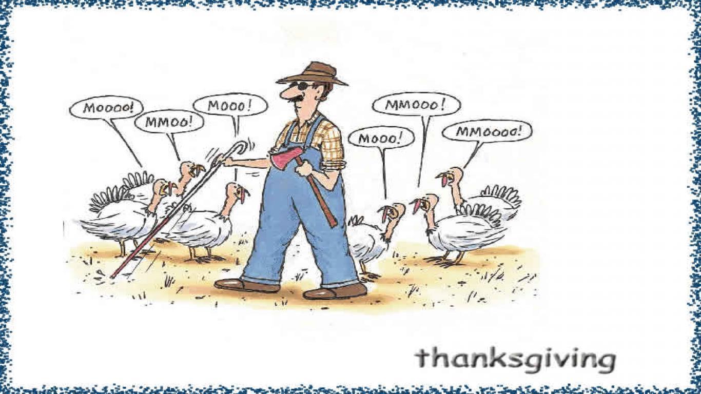 Photo for funny thanksgiving wallpaper