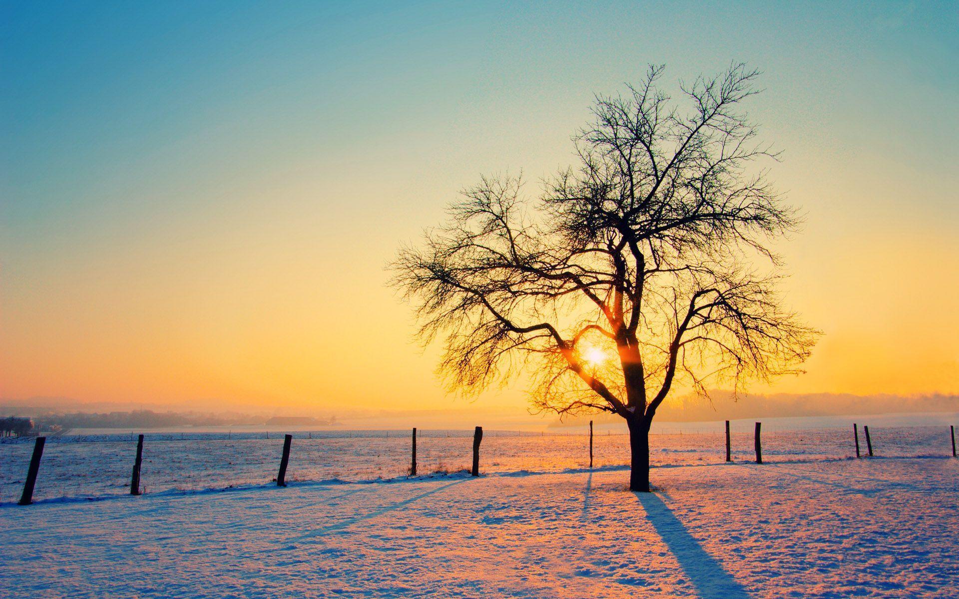 Hd Winter wallpaper
