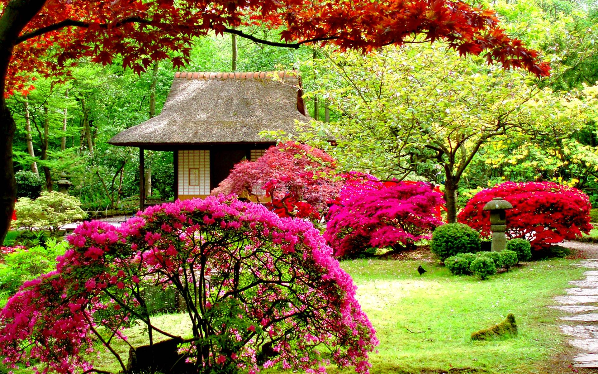 Flower Garden Background Hd