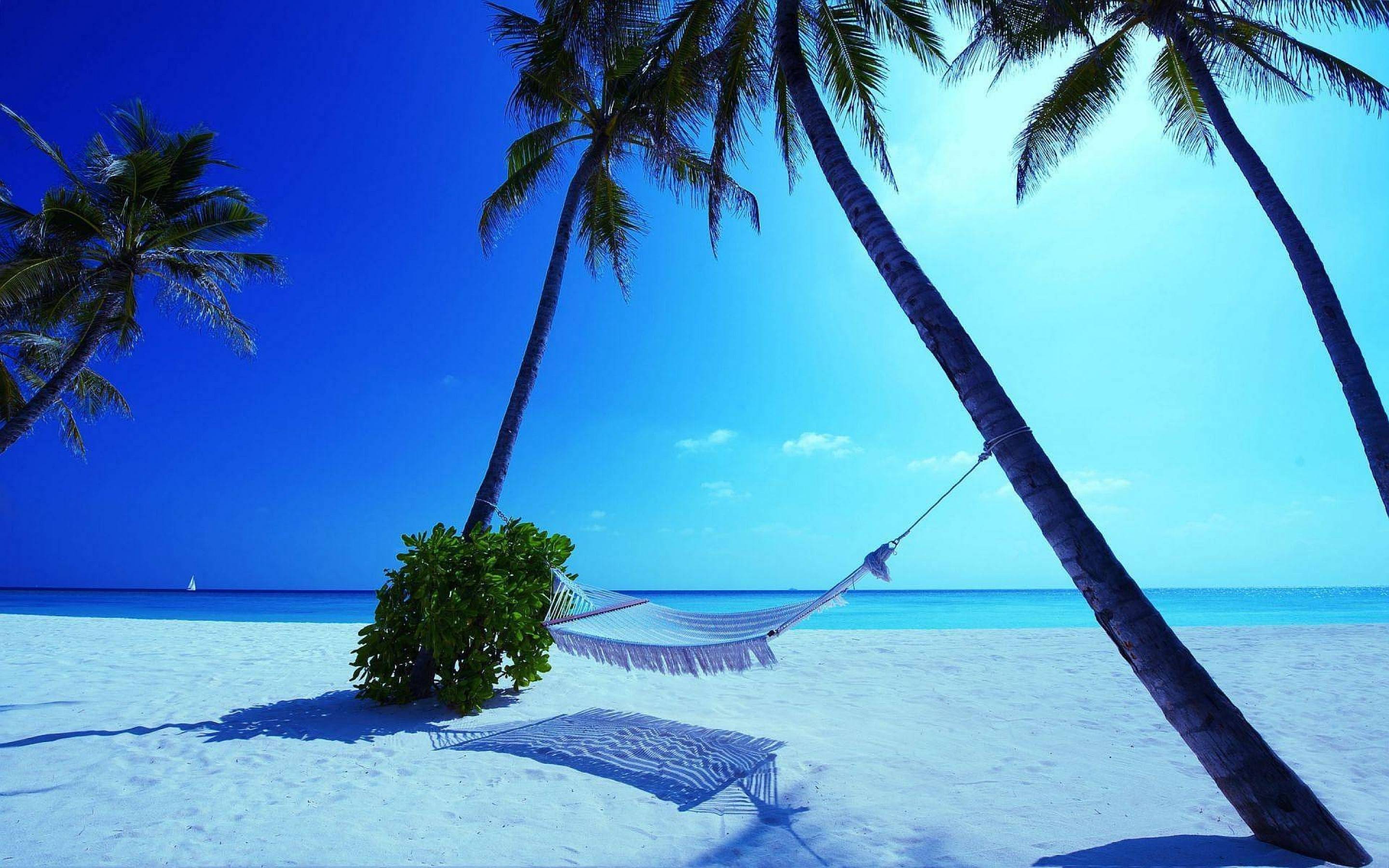 White Sand Maldives Beach Wallpapers in 2880x1800 Resolution