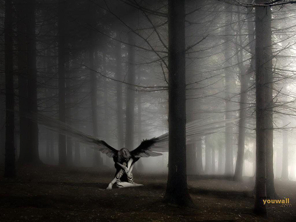Love Angels Wallpaper