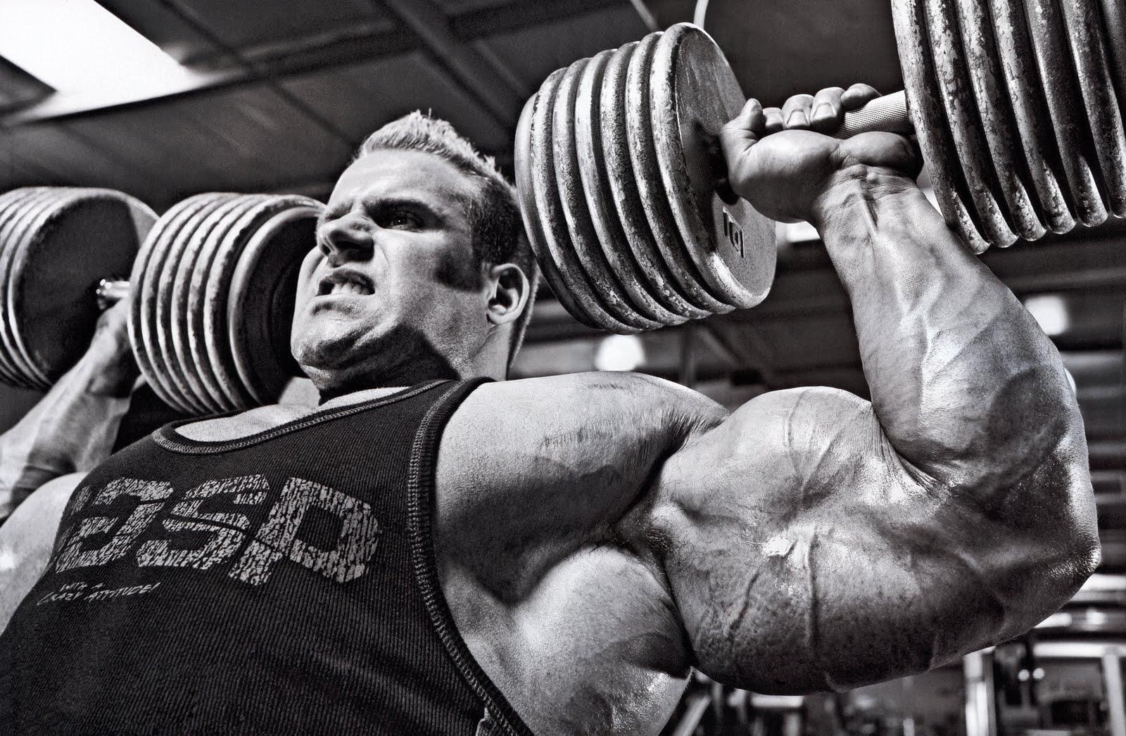Workouts And Diets To Your Glory !