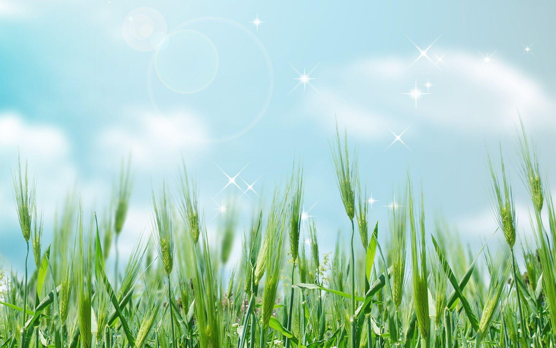 windows desktop wallpaper themes