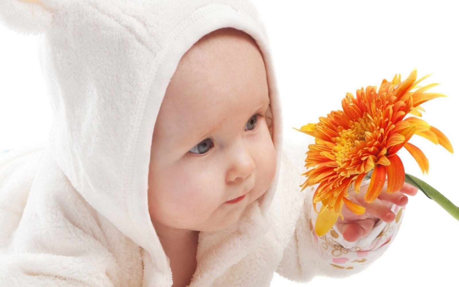 Baby Boy And Beautiful Orange Color Flower HD HD Wallpaper