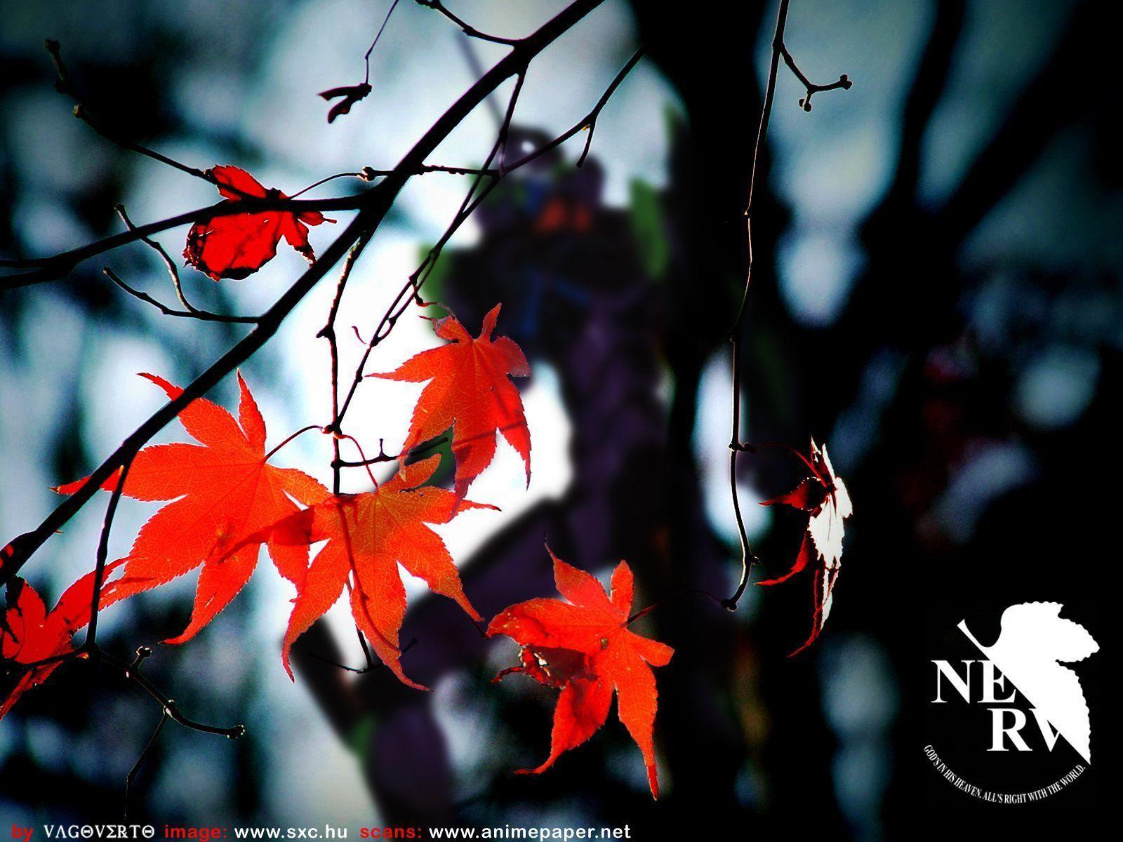 Download Nerv Neon Genesis Evangelion 1920x1200 Wallpaper 4160