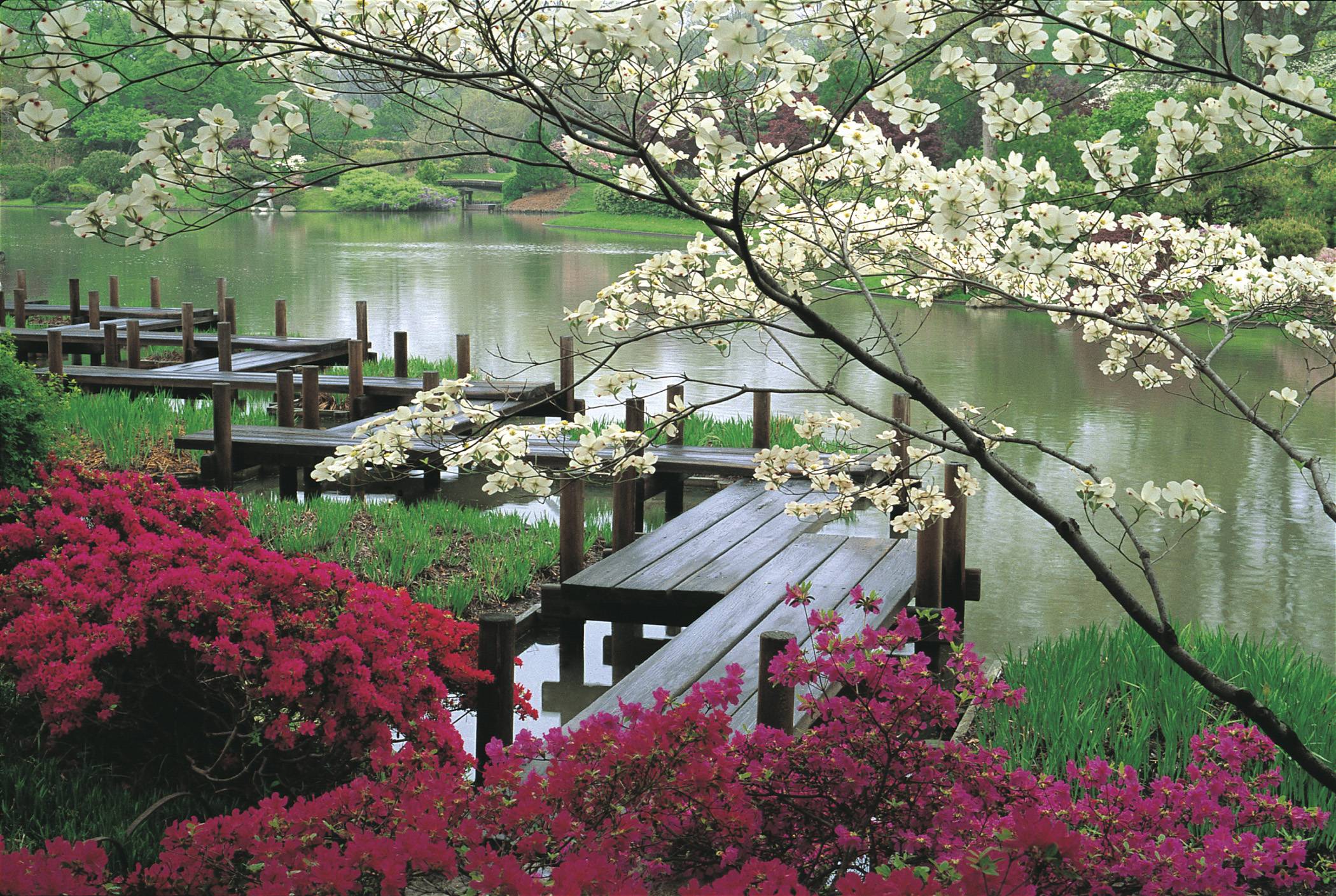 Spring Japanese Garden Wallpaper Amazing Design 414577 Inspiration