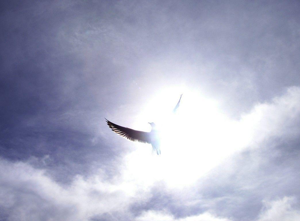 Holy Spirit in sky Wallpaper Wallpaper and Background