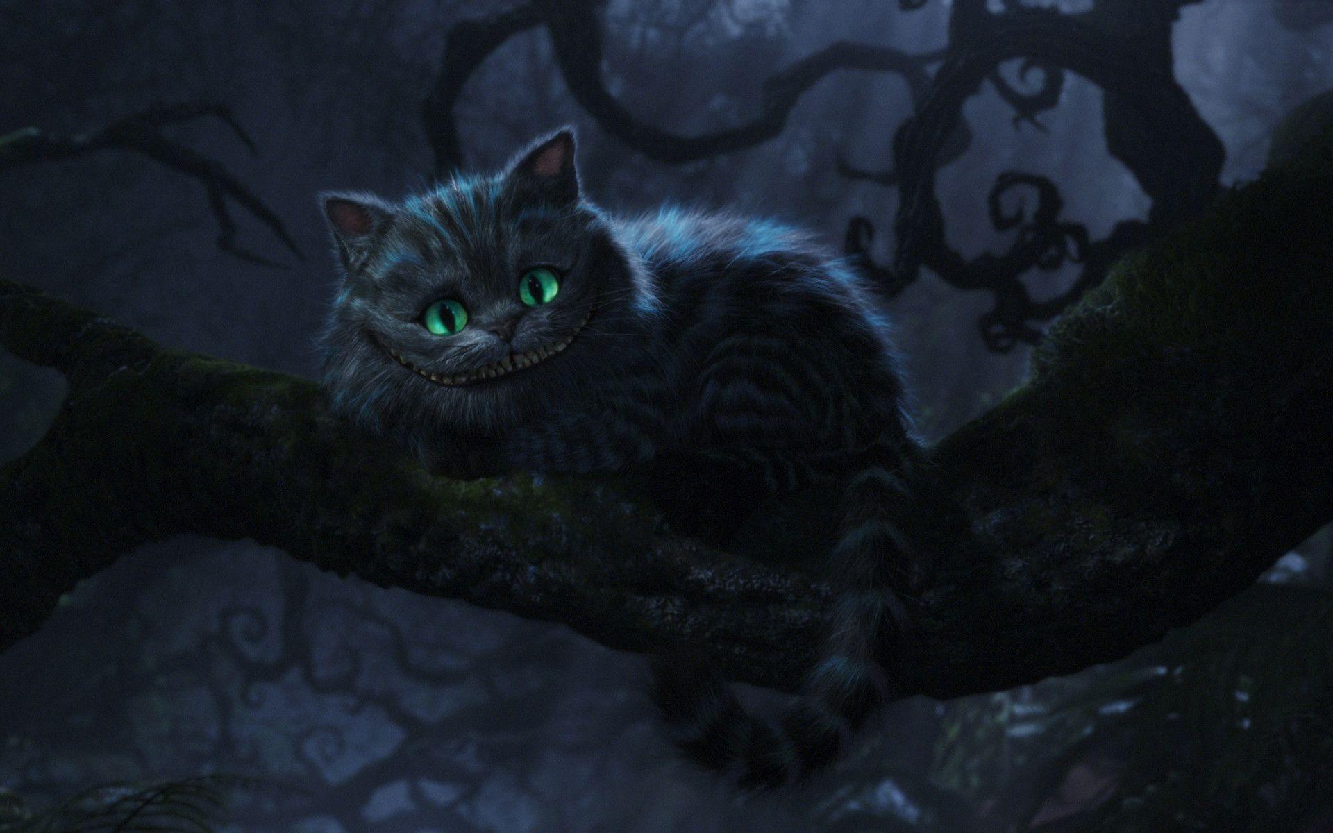 Cheshire Cat Wallpapers Wallpaper Cave