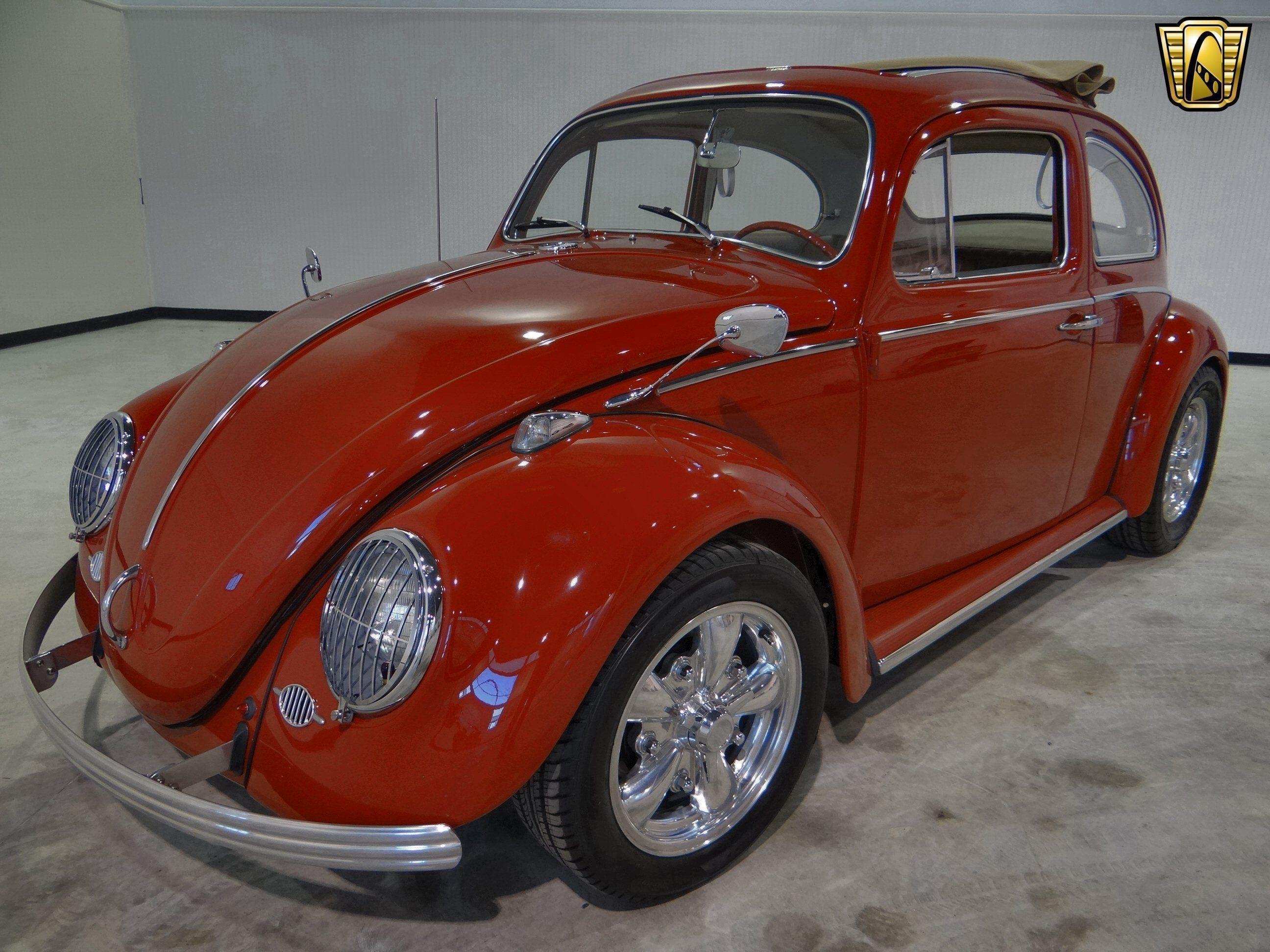 Volkswagen Beetle socal classic wallpaperx1944