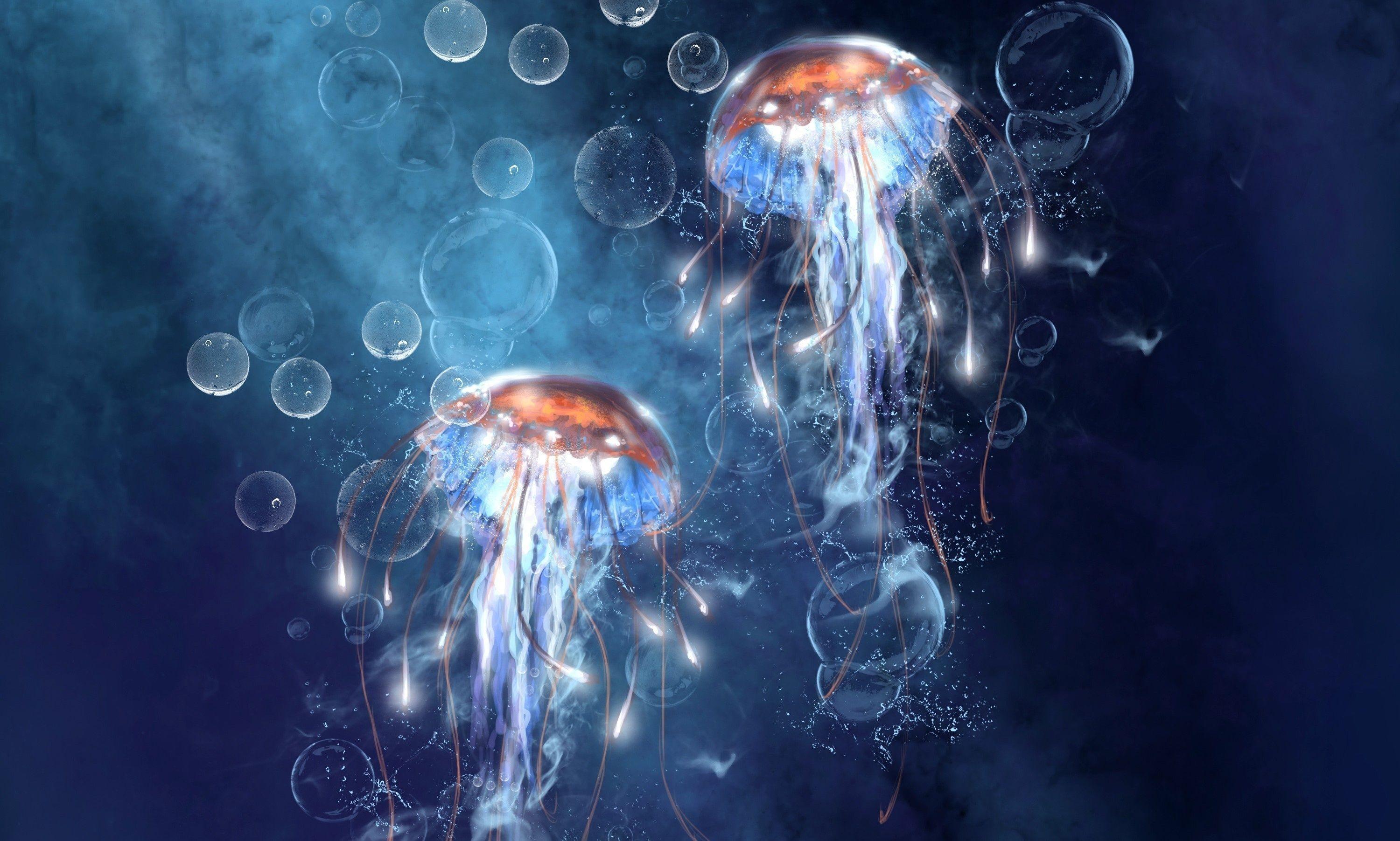 Jellyfish Wallpaper Wallpaper Inn