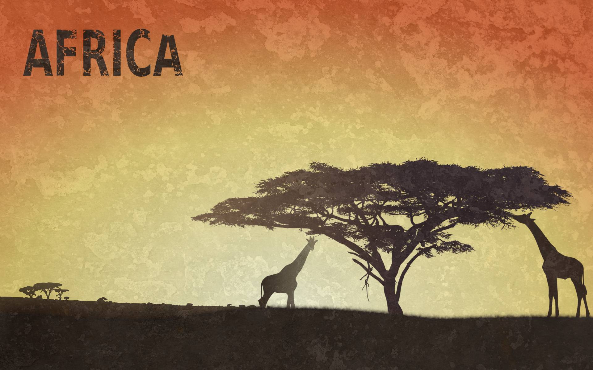 Africa Wallpapers  Top Free Africa Backgrounds  WallpaperAccess