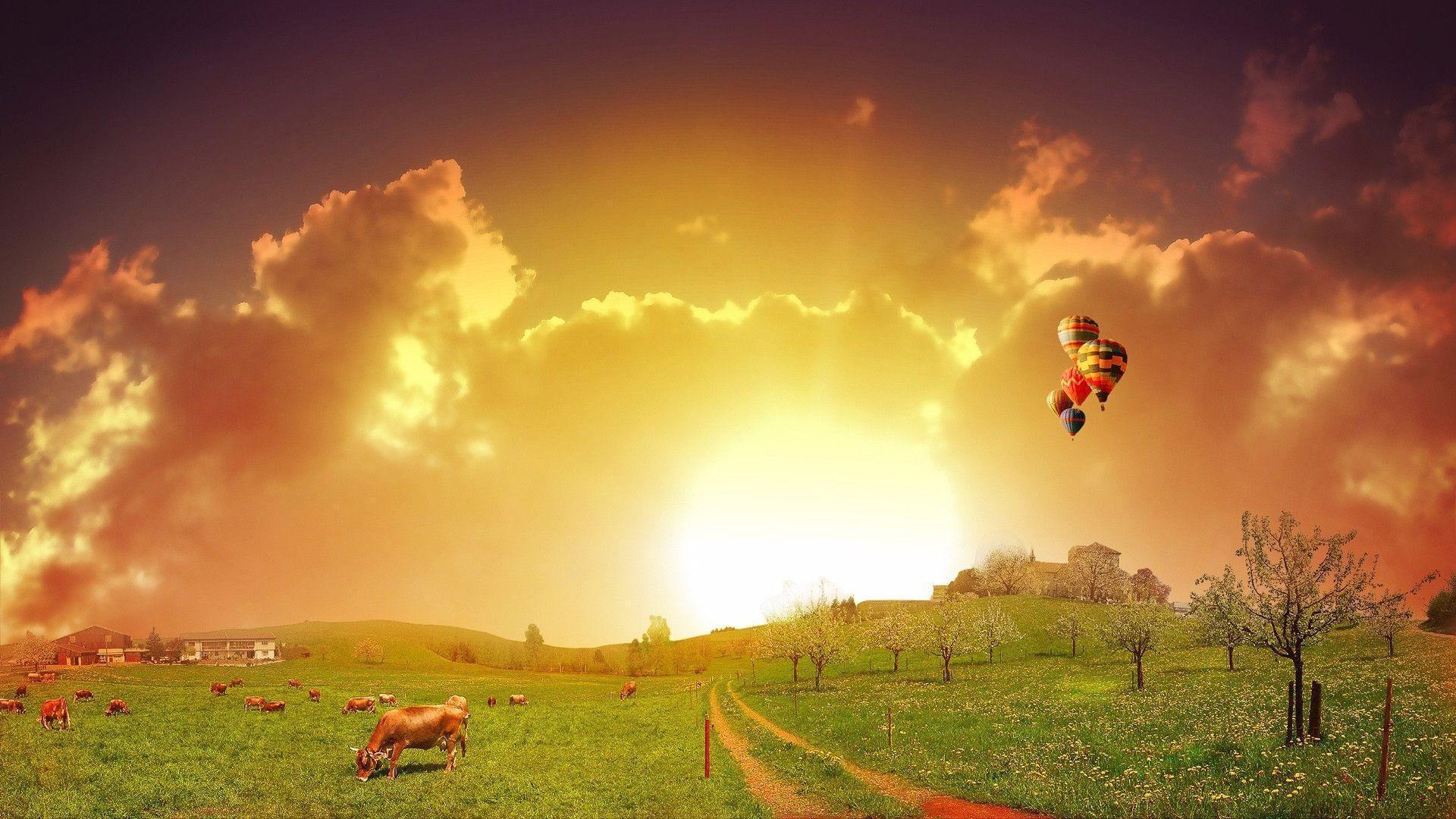 Summer Background Wallpaper, Summer Image High Definition