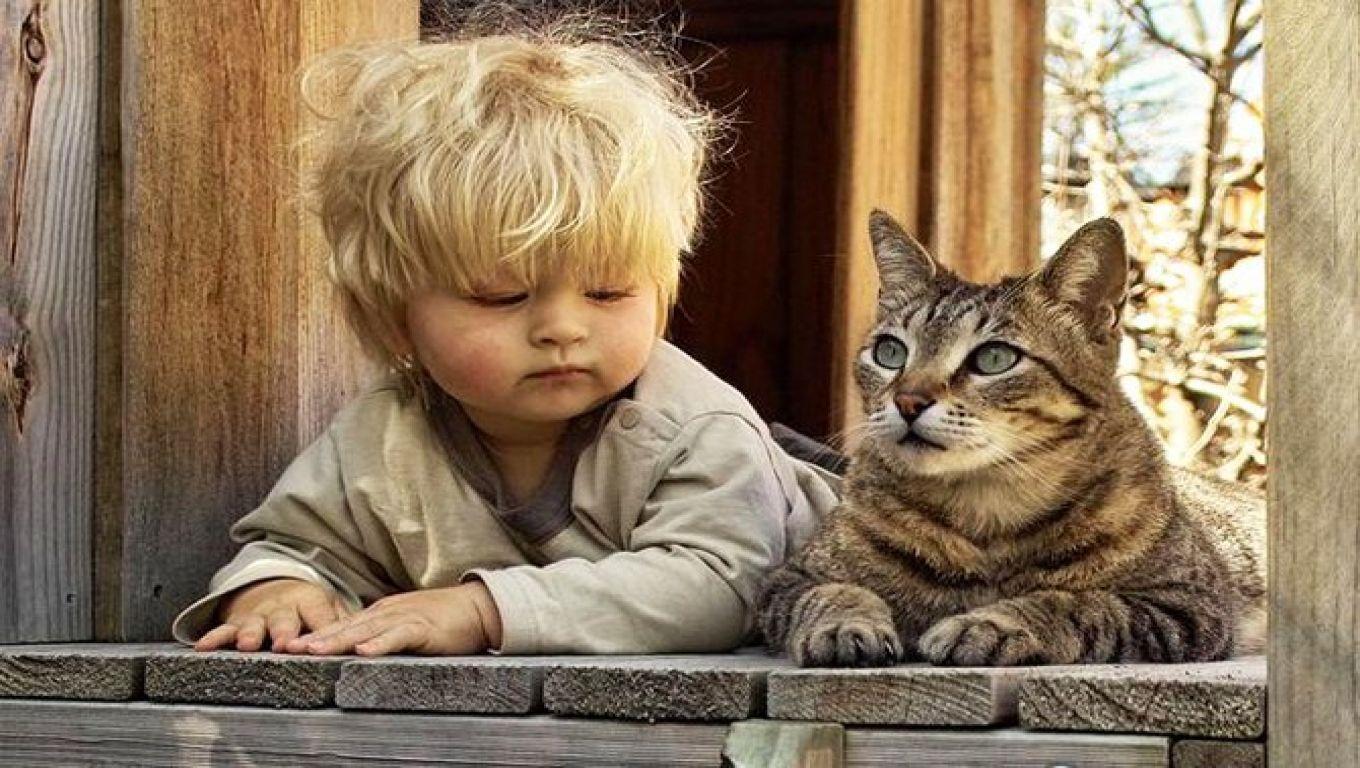 Cute Baby Boy with Cat Wallpaper 1360x768PX Wallpaper Cute Baby