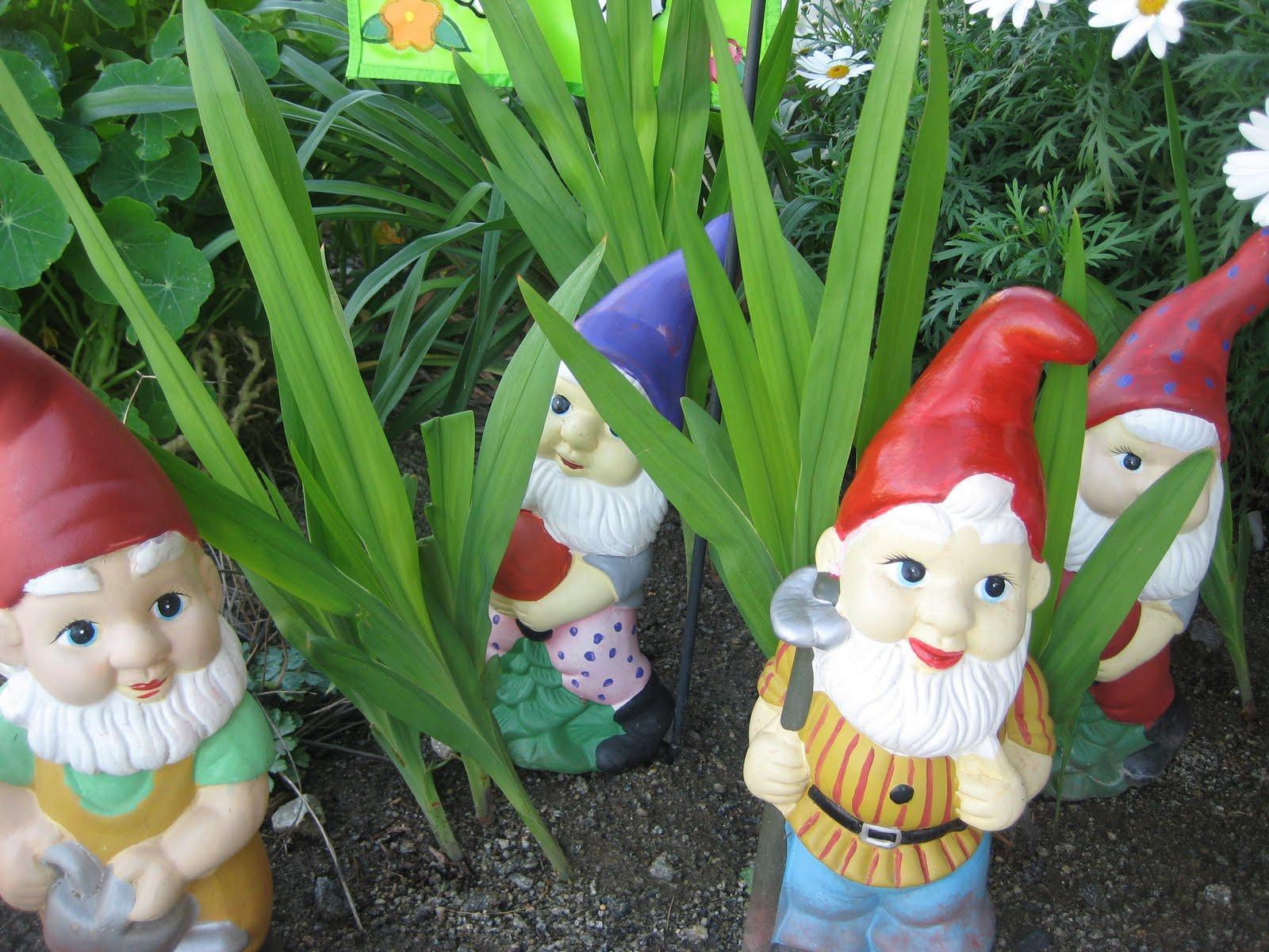 52andNew: Week 7 - Gussyin&; Up Our Garden Gnomes