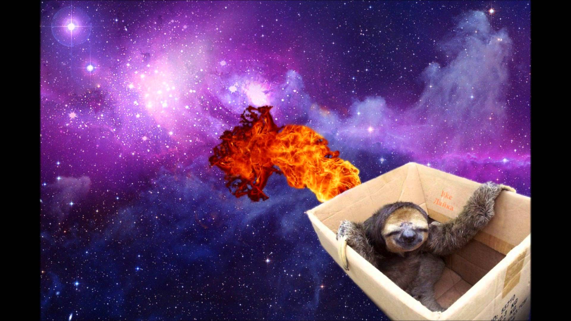 image For > Space Sloth Wallpaper