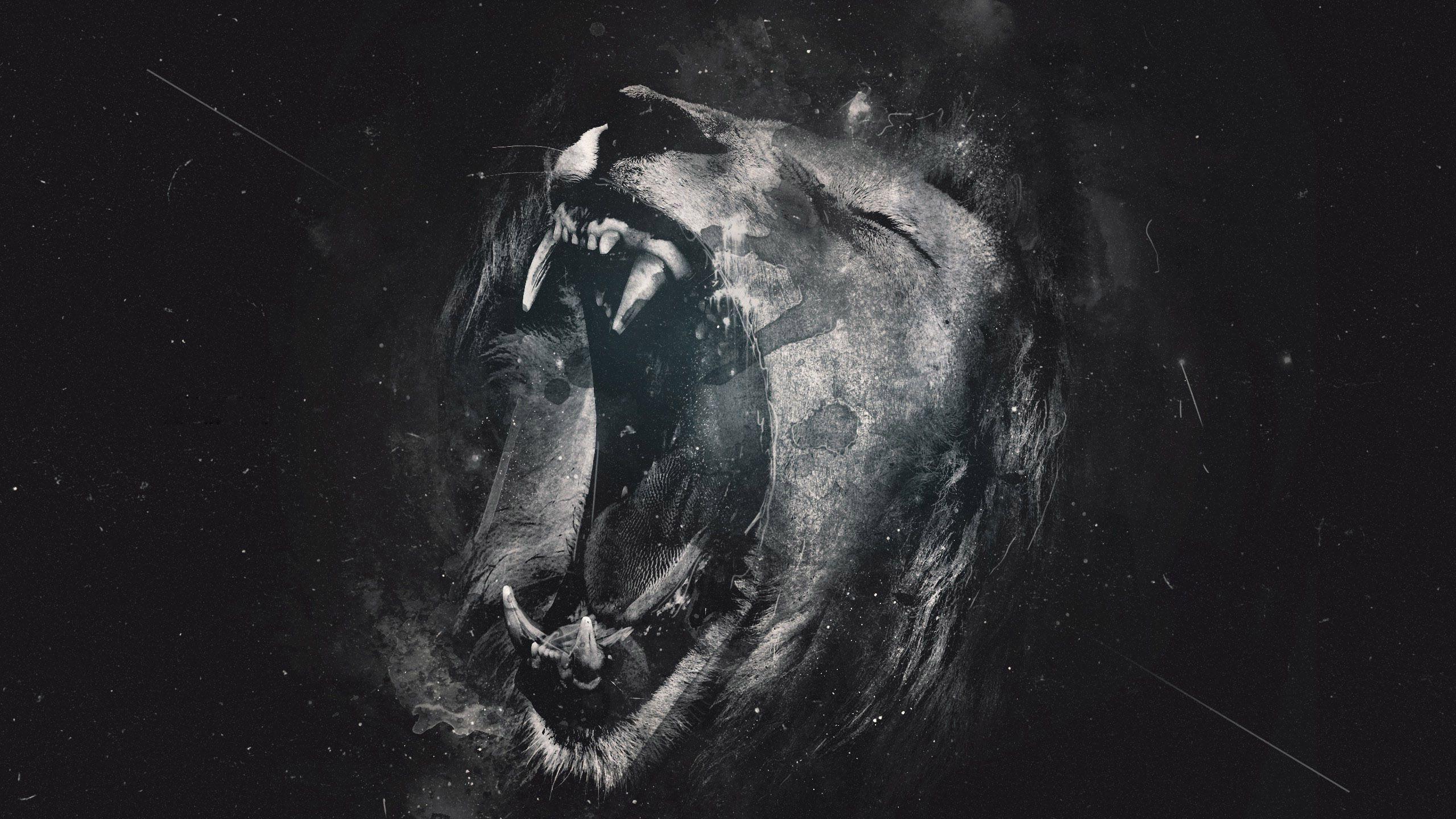 Lion Wallpapers - Wallpaper Cave, 800x480 wallpaper black and white