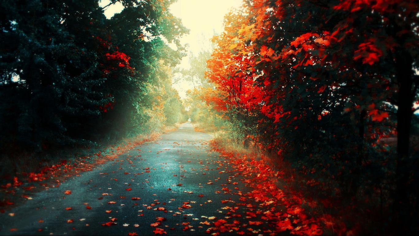 High Definition Wallpaper 26 best background 31021 HD Wallpaper