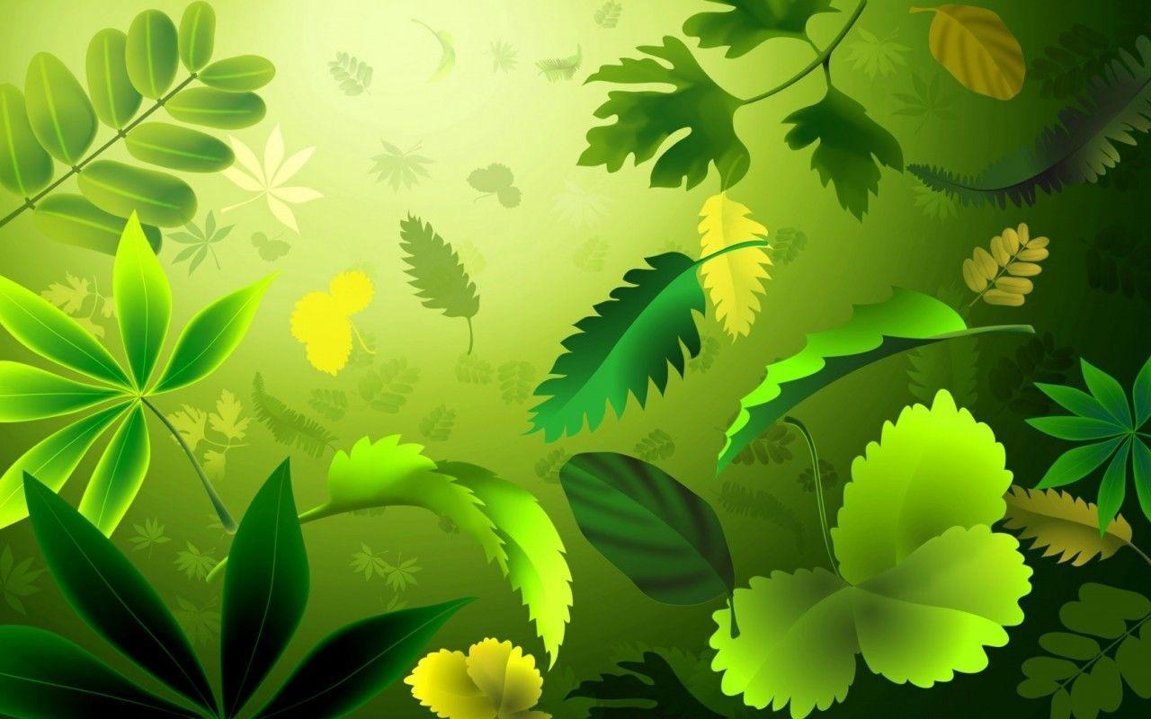 Wallpaper Tagged Background Flower Leave Nature Wallpaper