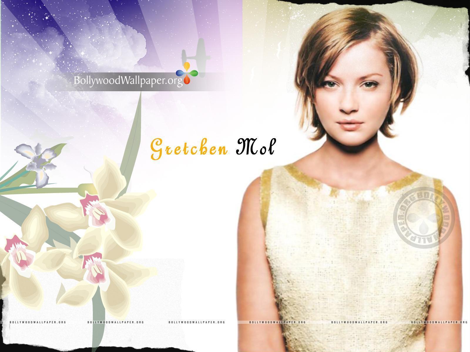 Gretchen Mol Wallpaper 001 HD Wallpaper & Background gretchen m