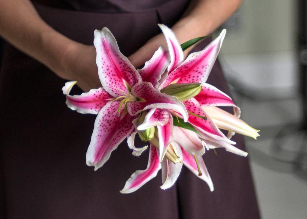 Savvyish, Stylish, Wedding Flowers. Lilies