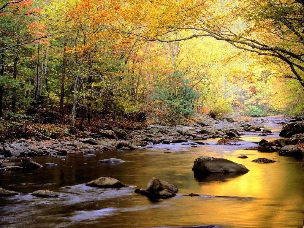 Beautiful Nature Scenery Fall Background 1 HD Wallpaper. lzamgs