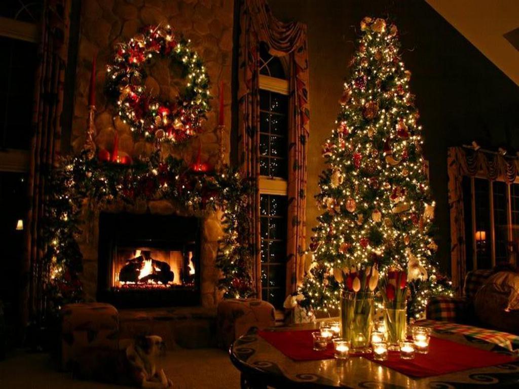 image For > Pretty Christmas Tree Background