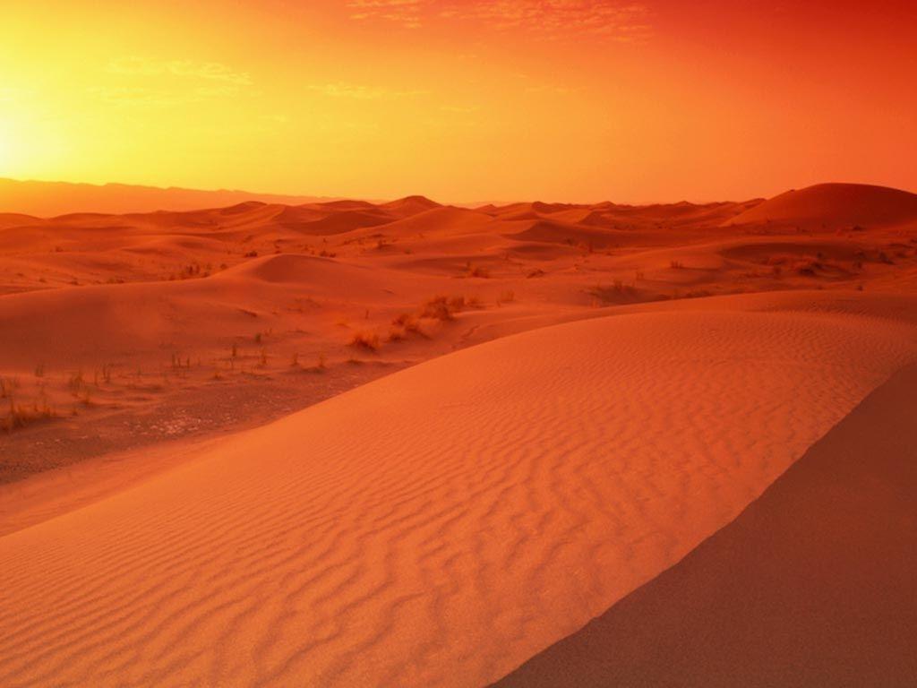 Arabian Desert sunrise Wallpaper