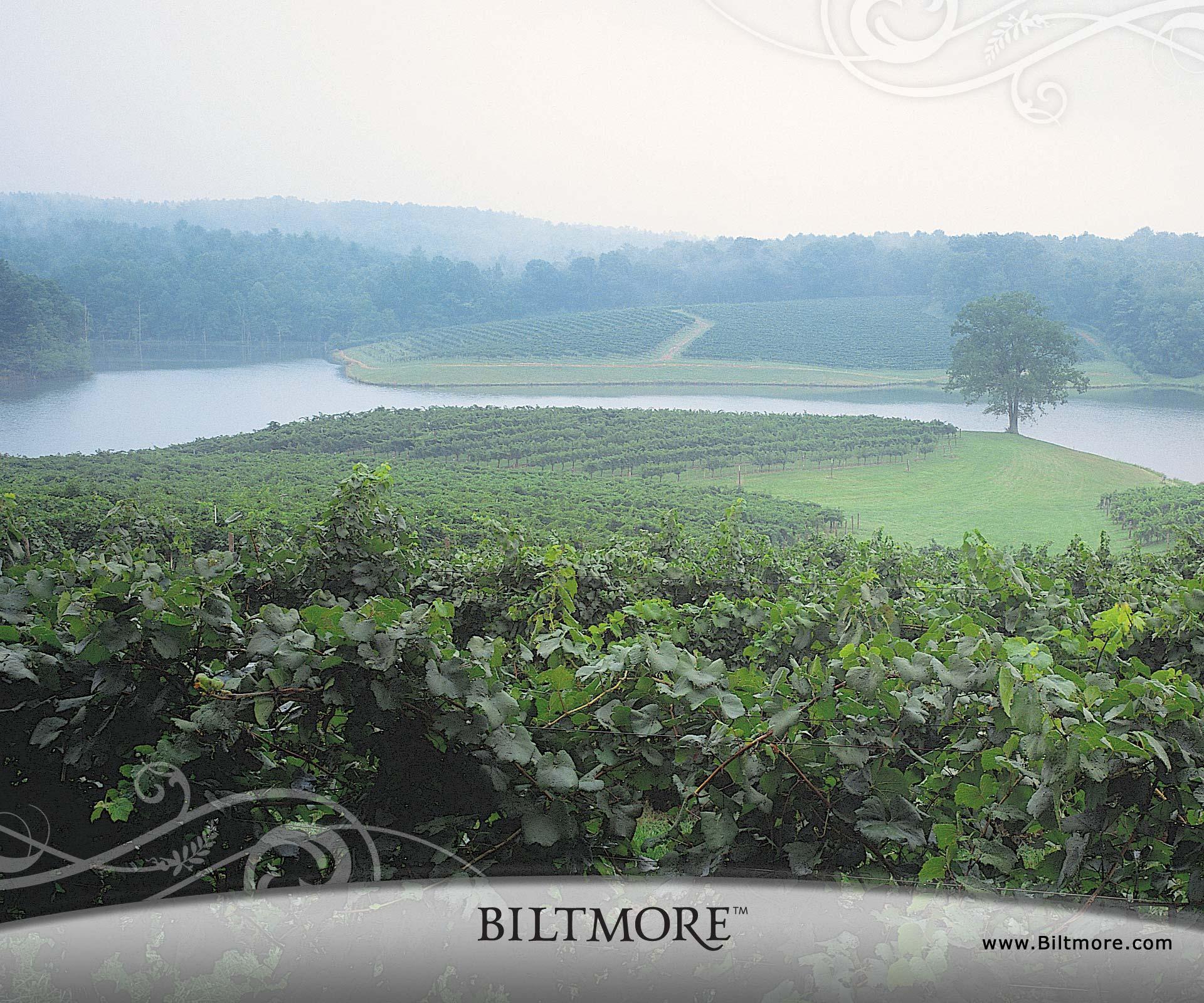 Biltmore HD Desktop Wallpaper for Widescreen, High Definition