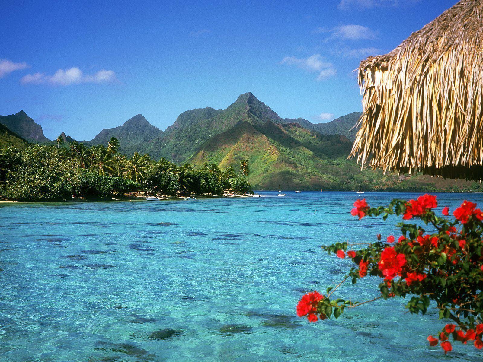 beautiful desktop nature wallpaper