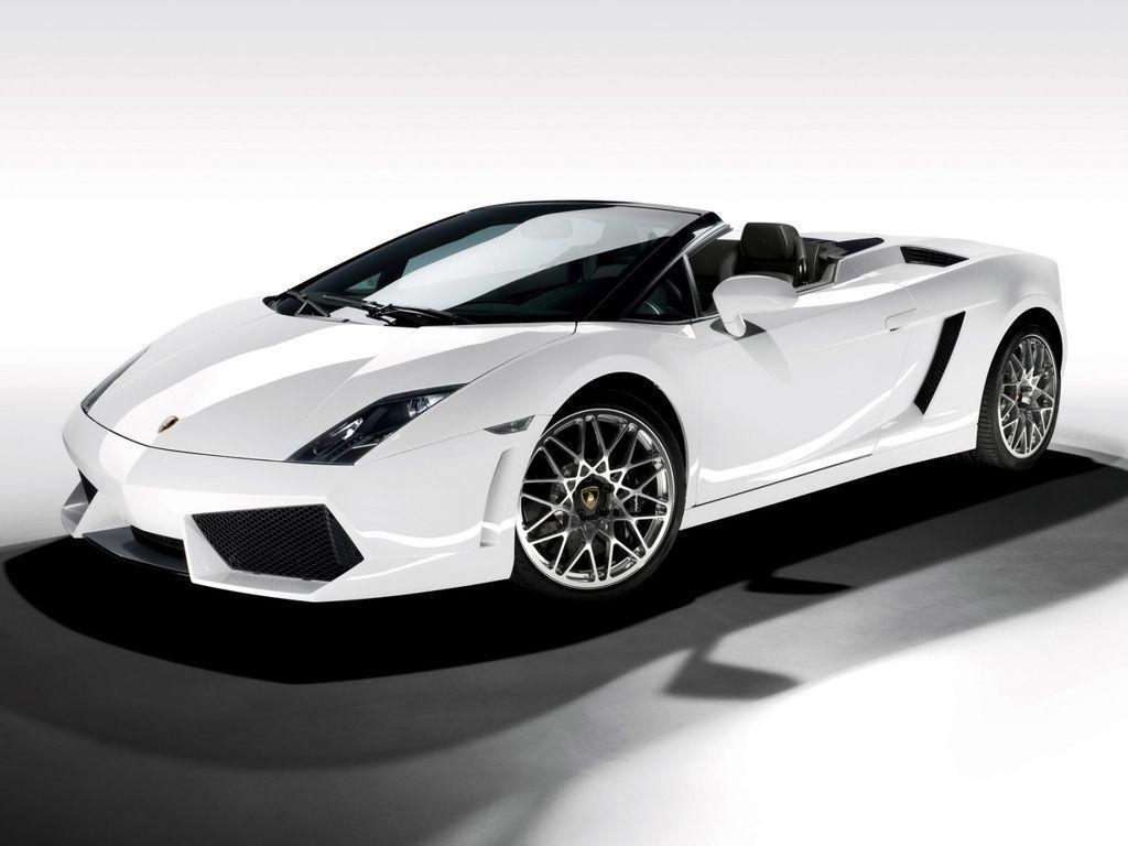 White Lamborghini Gallardo Wallpaper
