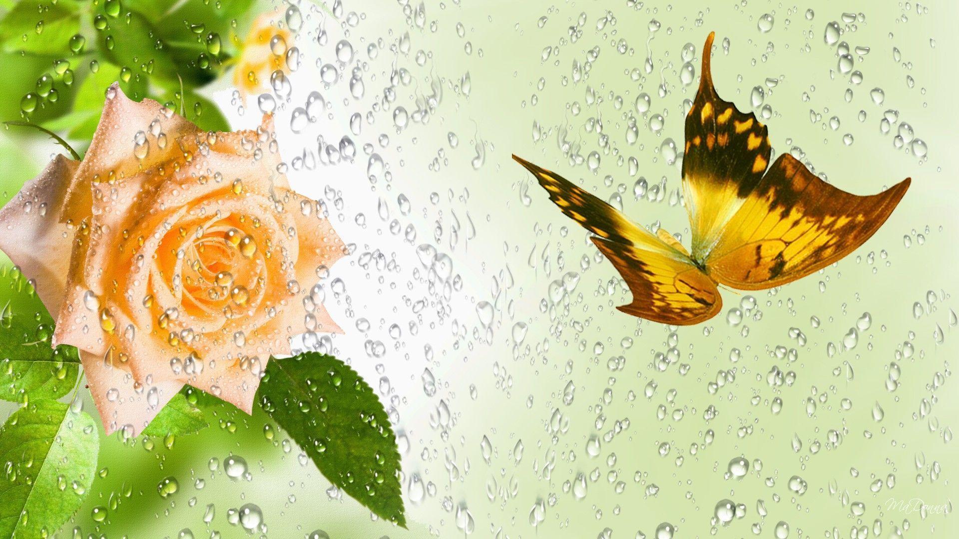 Beautiful Rain Wallpaper Image Wallpaper. Wallpaper Screen