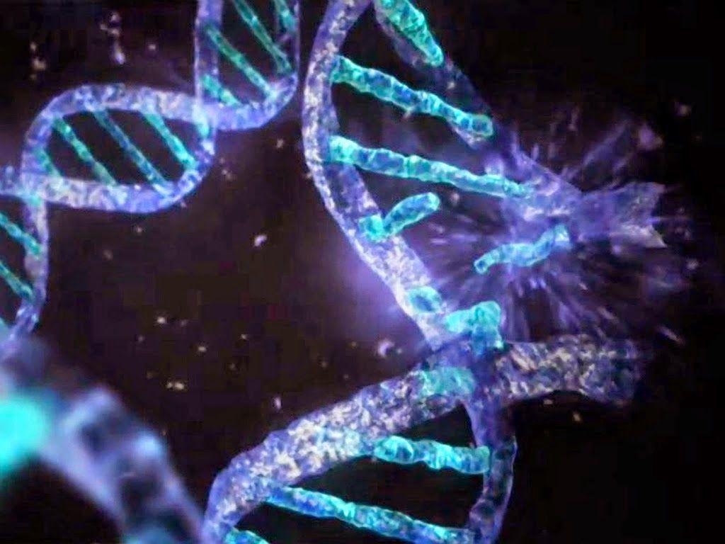 Activist Post: The Coming Biological Infowar: US Proposes DNA Database