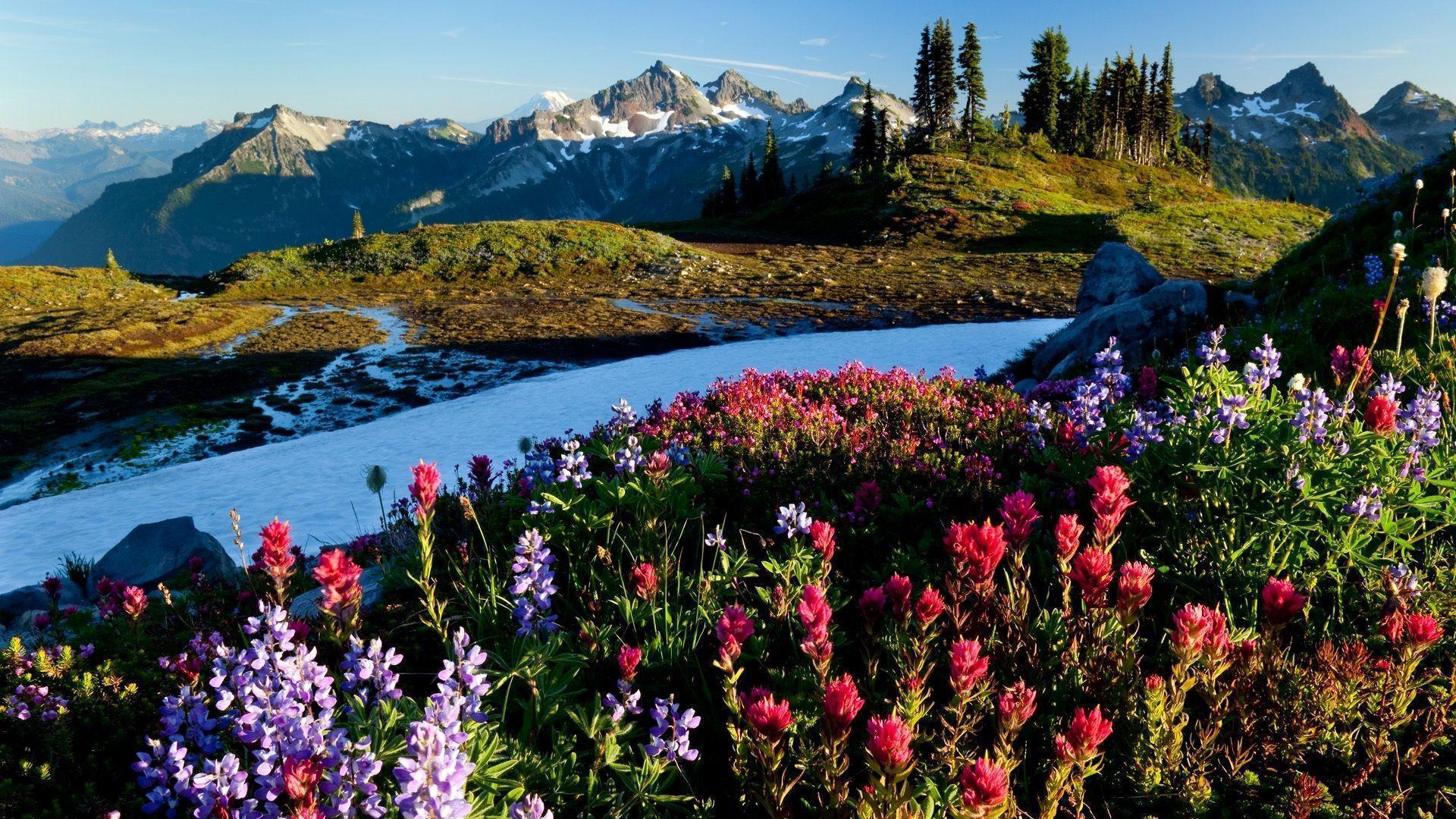 Free Spring Desktop Wallpaper