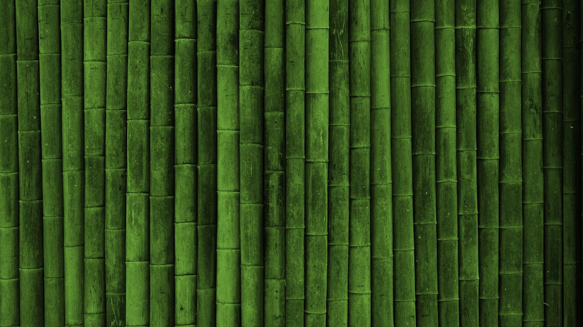 Bamboo Wall Green Wallpaper HD. Free HD Desktop Wallpaper