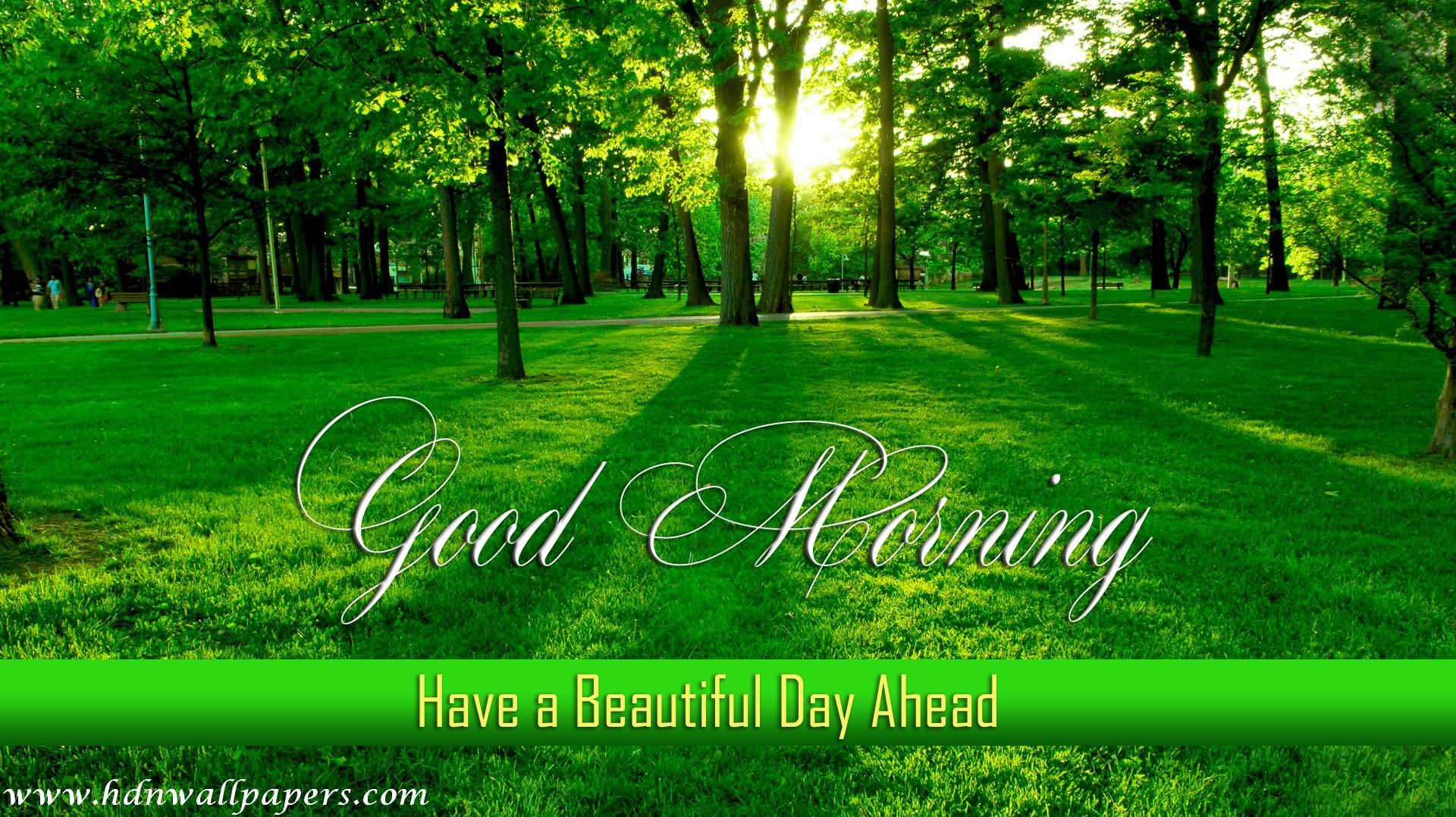 Good Morning New Wallpaper Free Download For Laptop