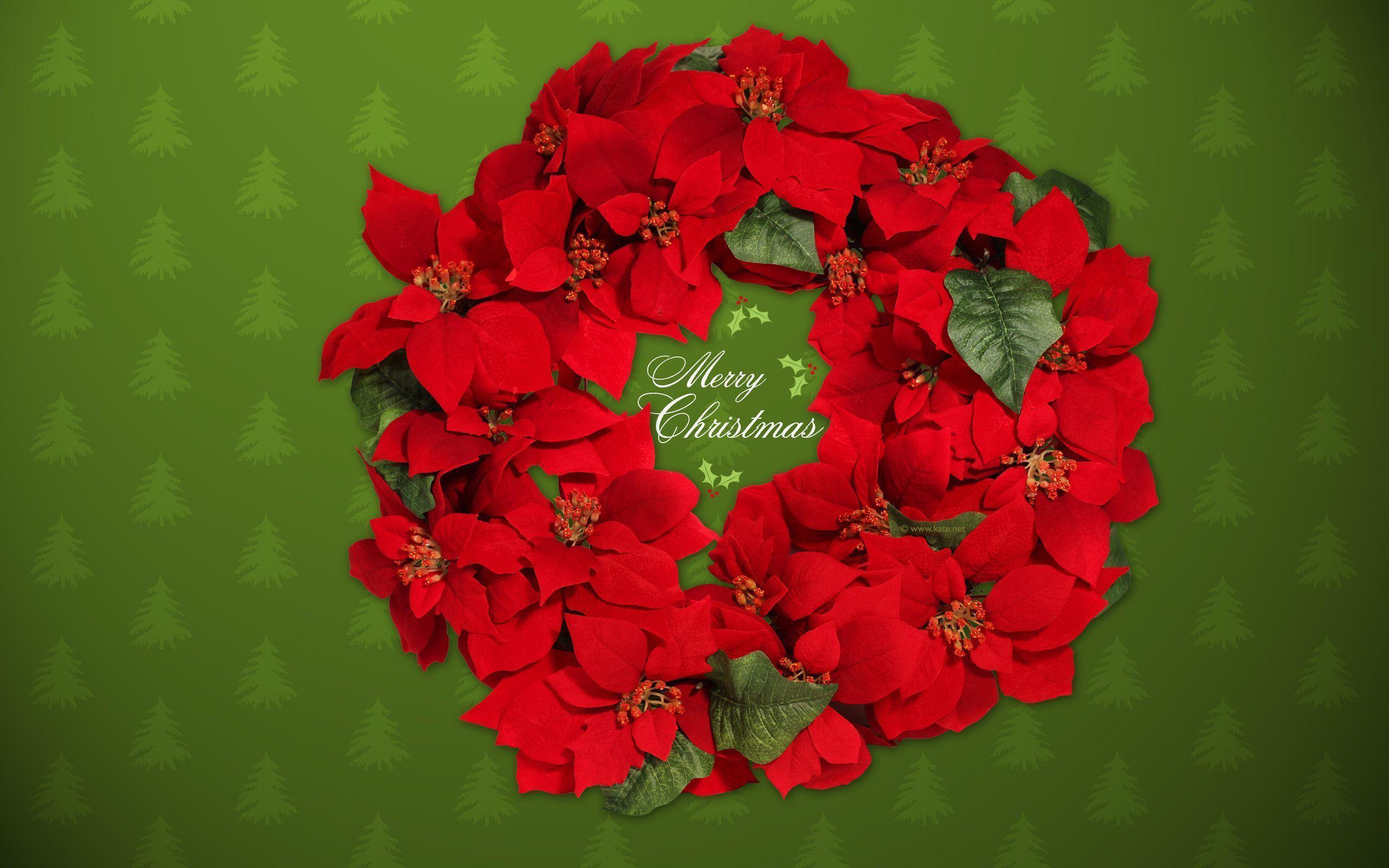 image For > Christmas Poinsettias Wallpaper