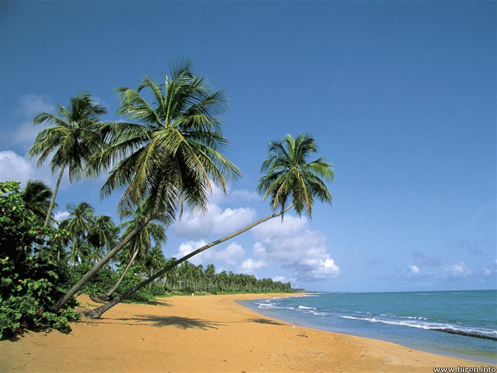 Download Beautiful Deserted Beach Puerto Rico Wallpaper. Full HD