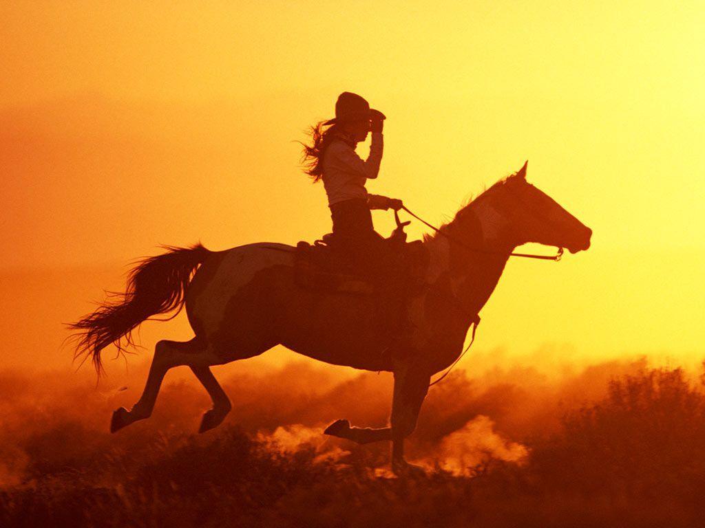 Download wallpaper: sunset, , photo, desktop wallpaper, horse, horse