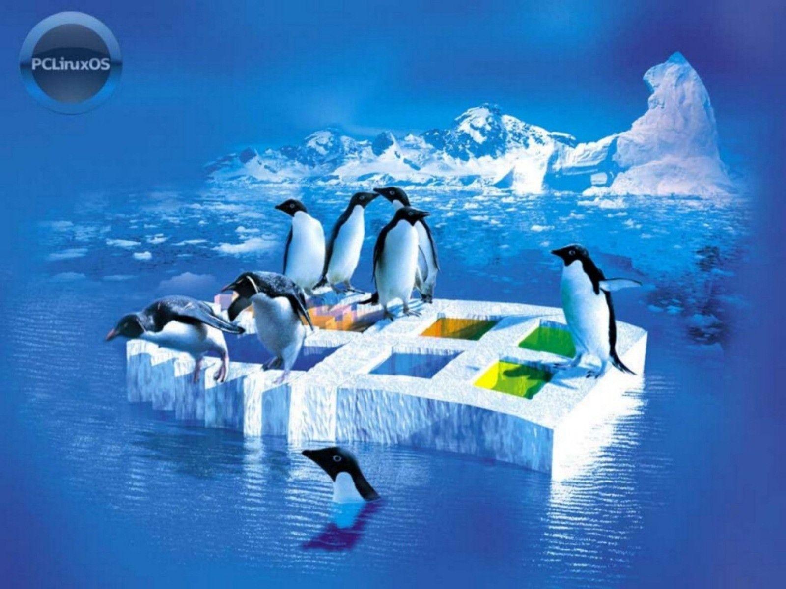 PcLinux Winter Wallpaper Desktop Pc Linux Antartica Use Open