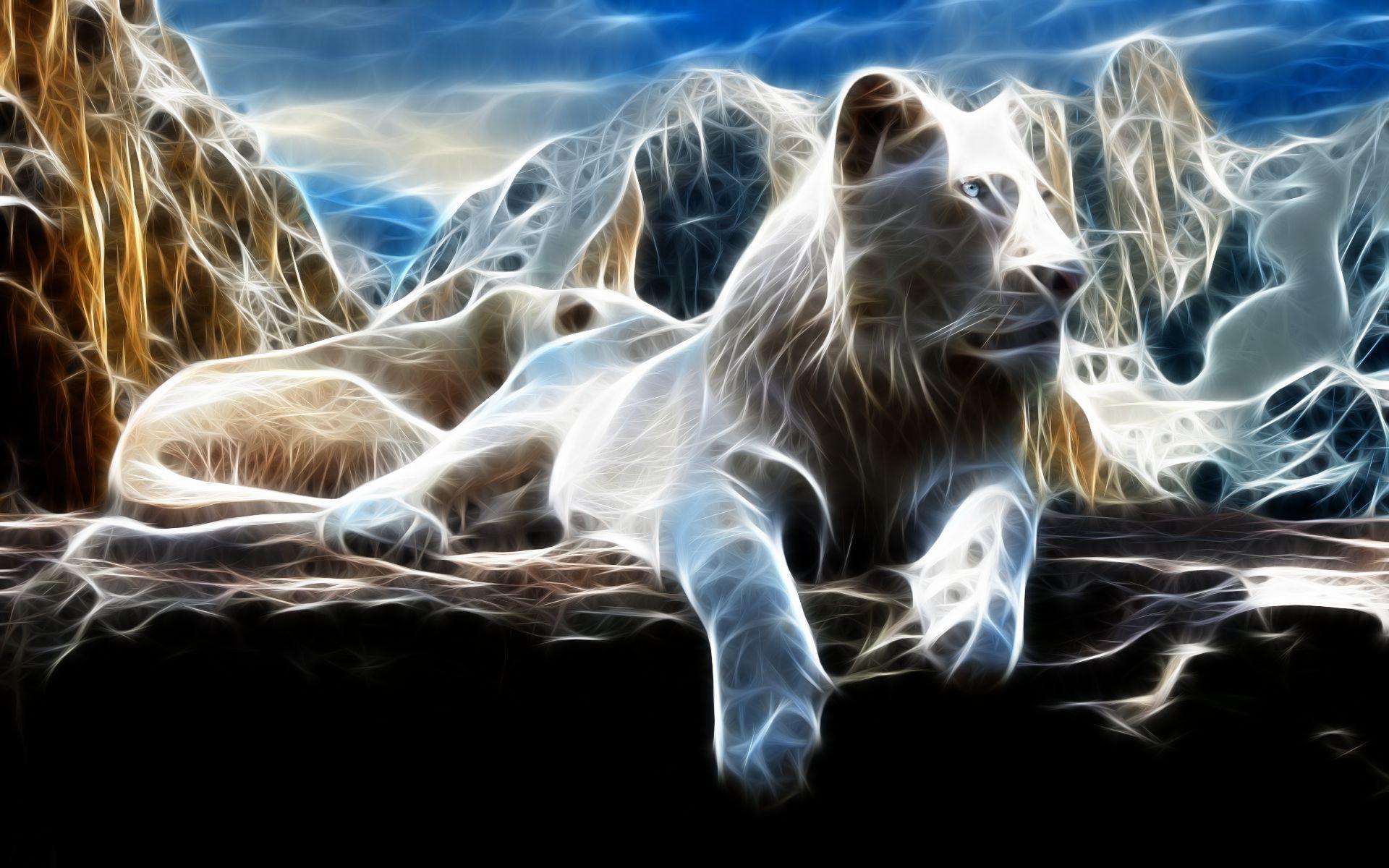 White Lions HD Wallpaper 3