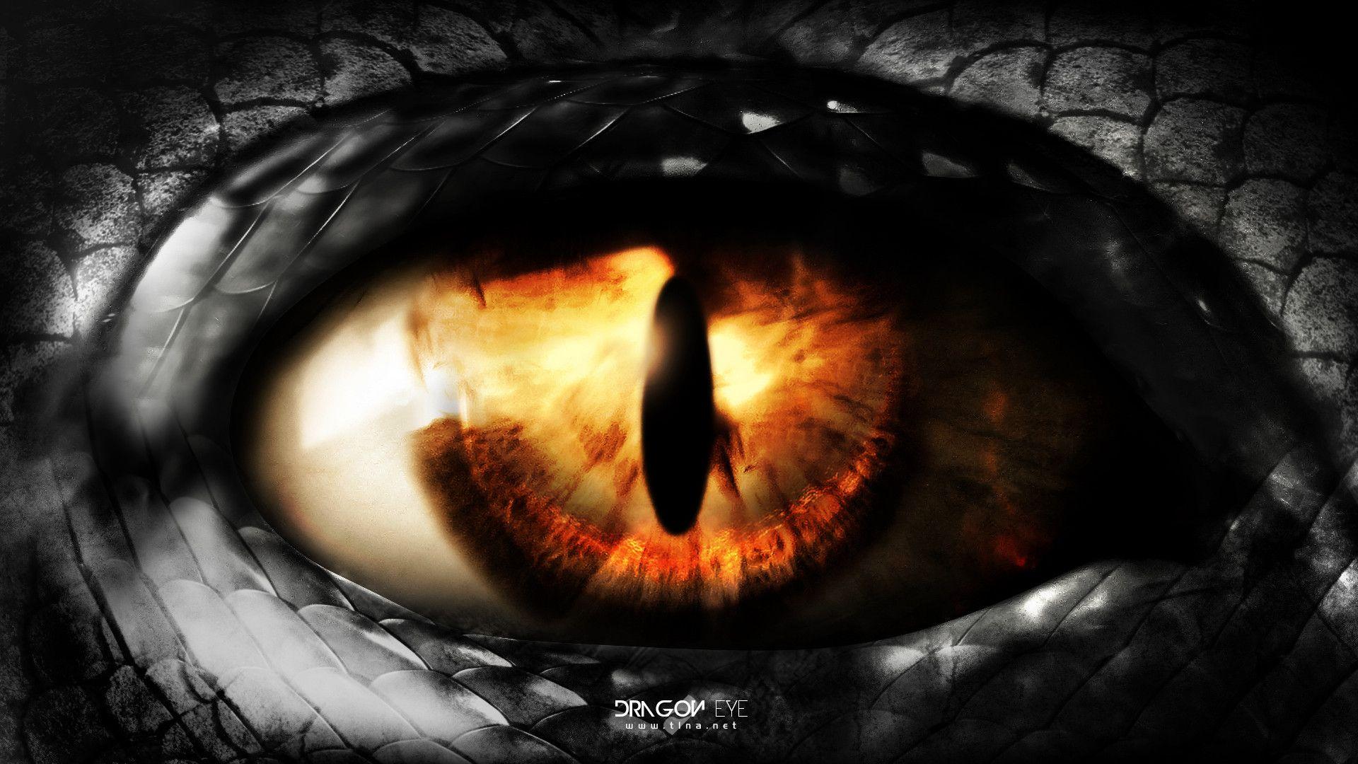 Wallpaper For > 3D Dragon Eye Wallpaper