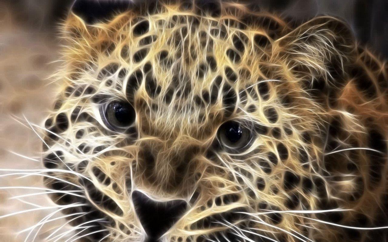 Big Cats Wallpapers 143 HD Pictures