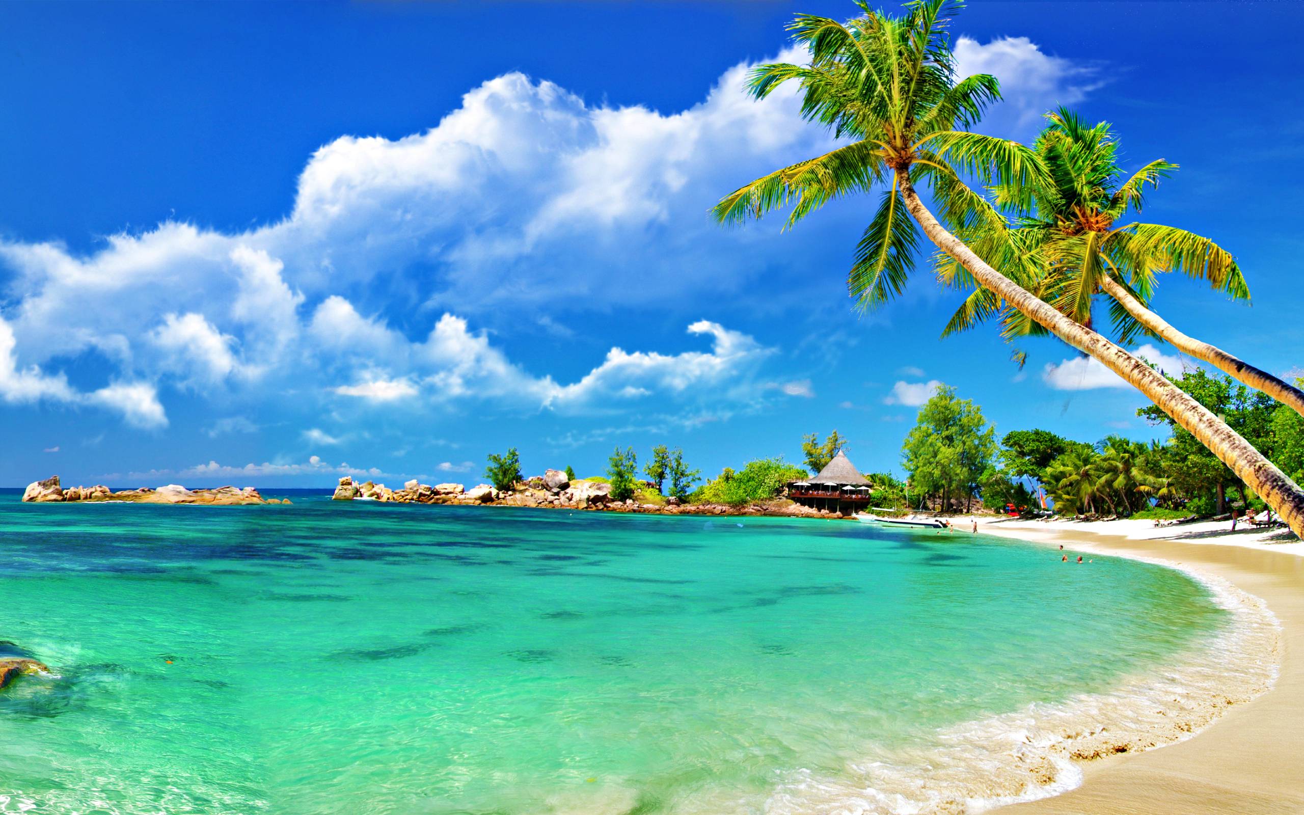 Wallpaper Desktop Sunny Tropical Beach 2560 X 1920 285 Kb Jpeg