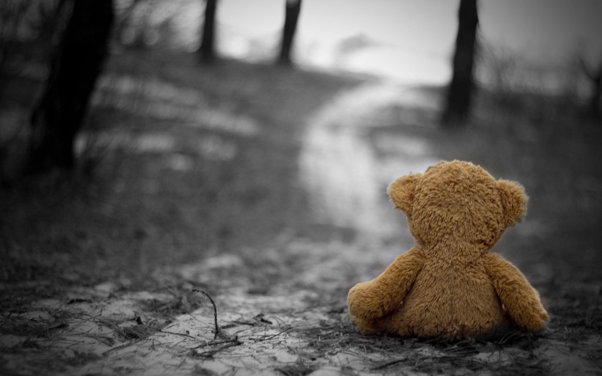 Toys Grass Loneliness Wallpaper 2560x1600 px Free Download