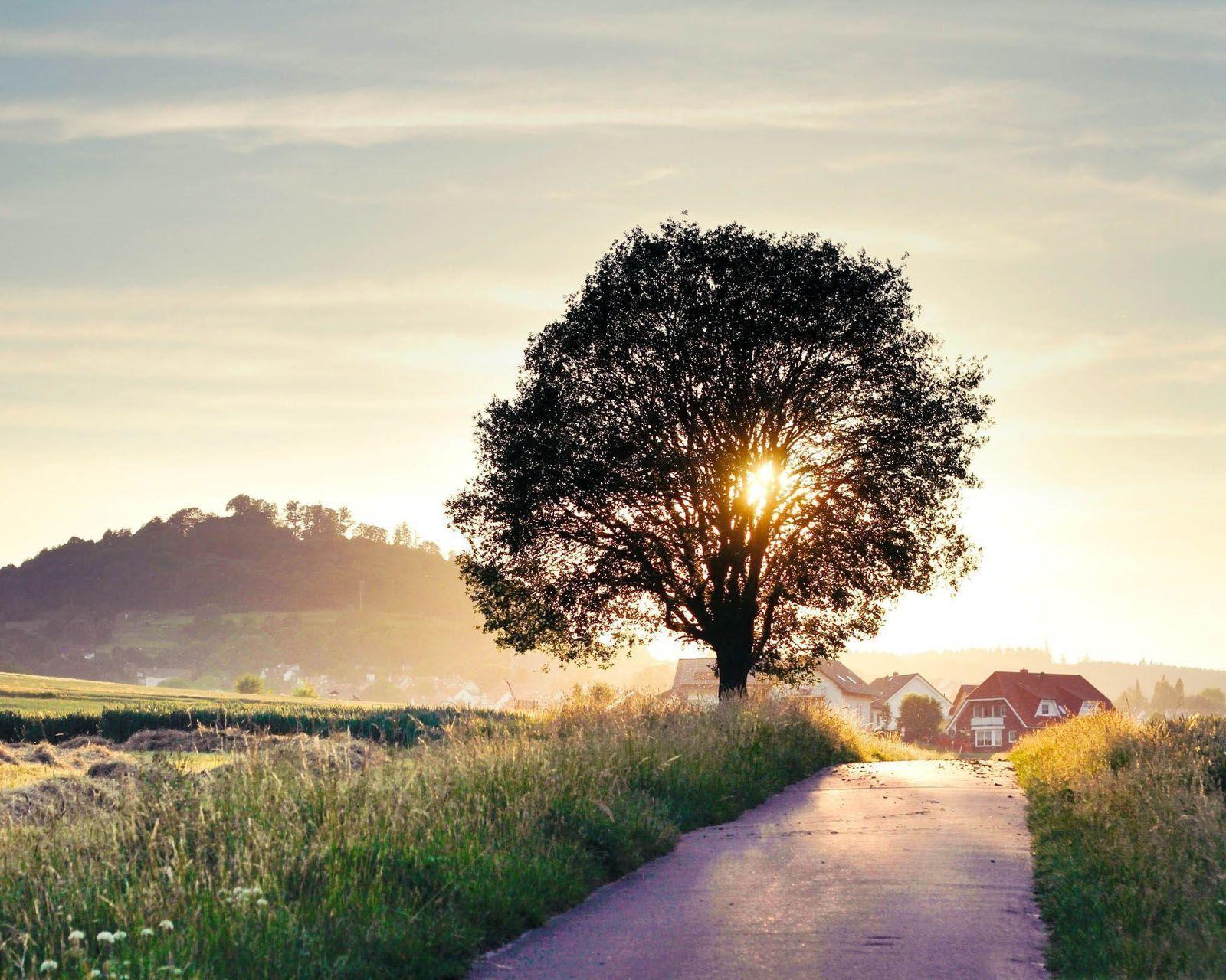 Good Morning Wallpaper .com. Latest HD