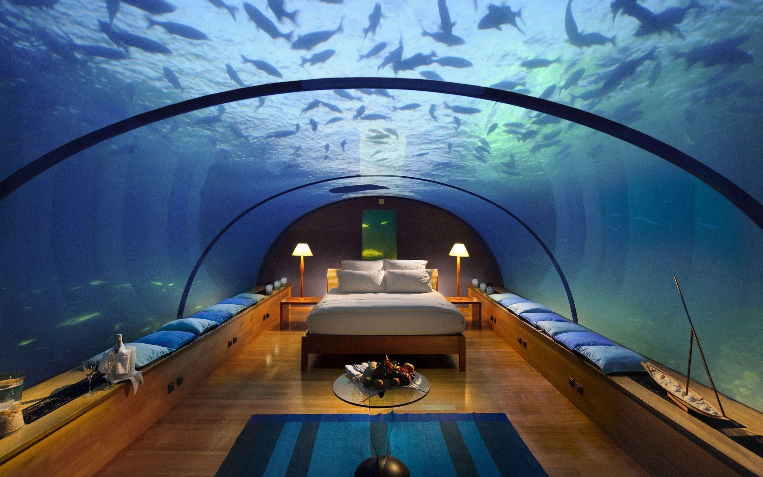 Cool Fish Glass Bed Water Pillow With Resolution Wallpaper, HQ
