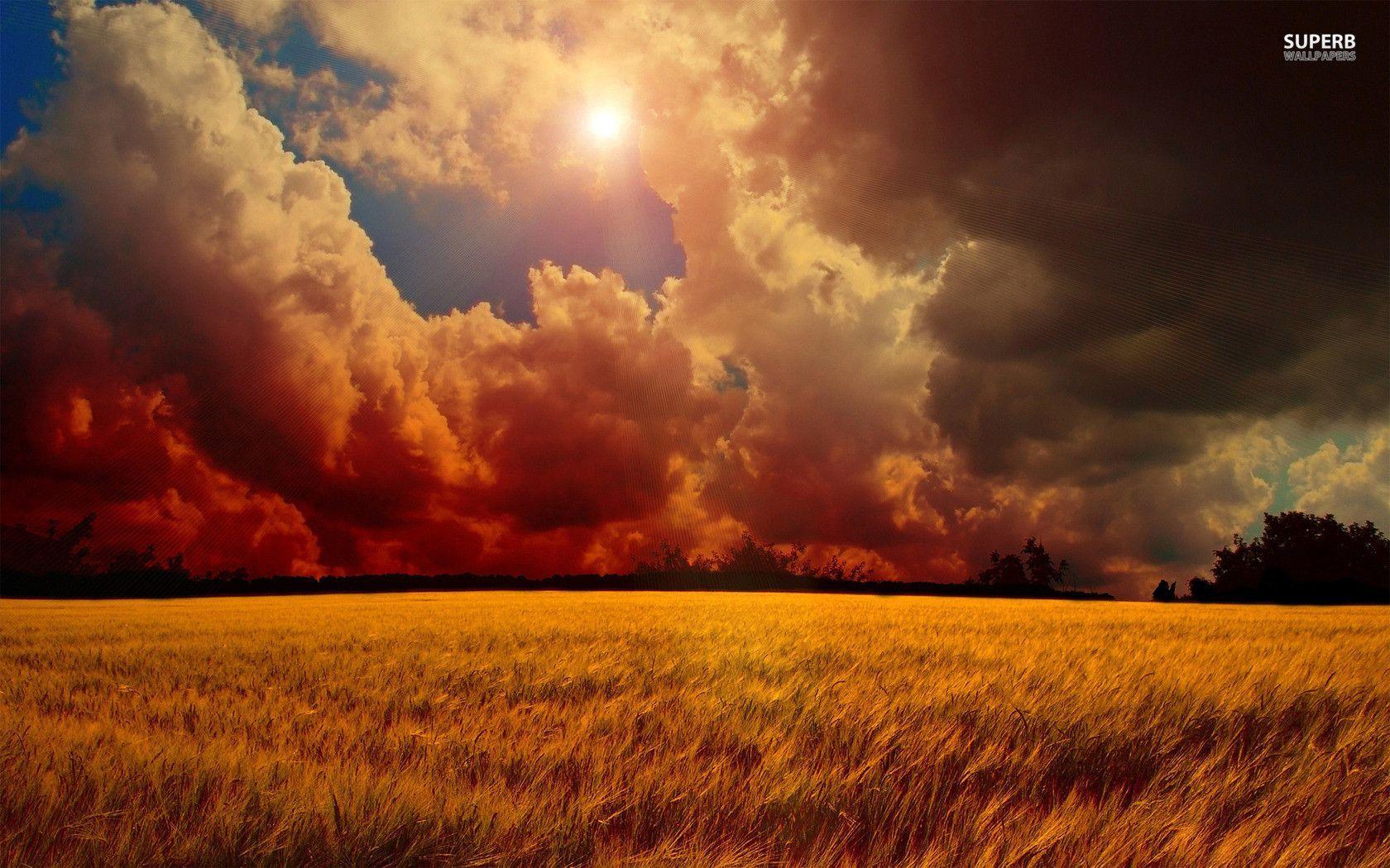 Storm clouds over wheat field wallpaper wallpaper - #