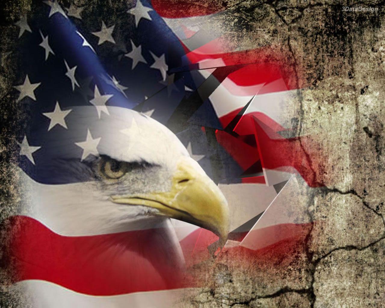 American Flag Background with Eagle, wallpaper, American Flag