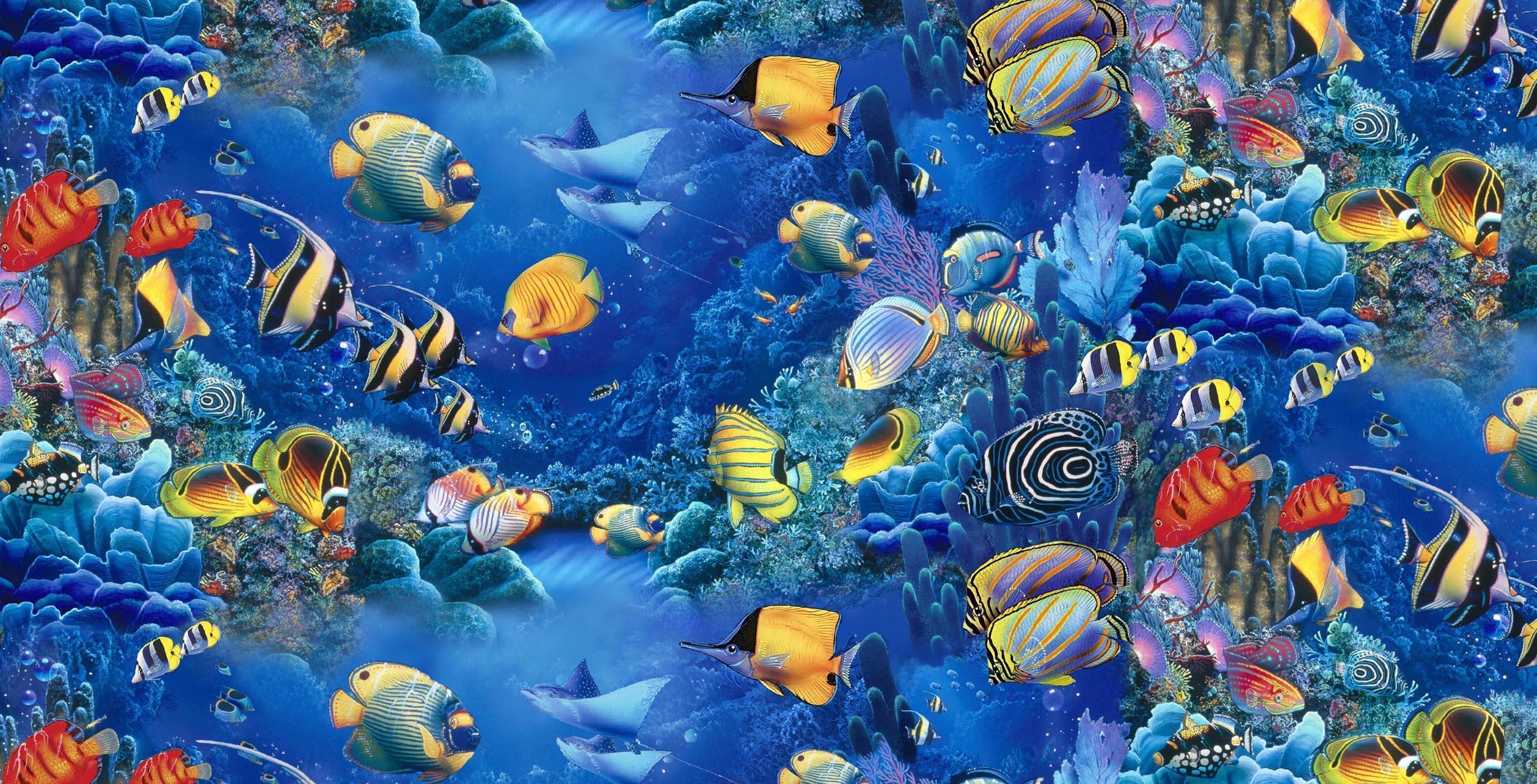 Download Fish The Sea Colorful Wallpaper 2516x1284. Full HD